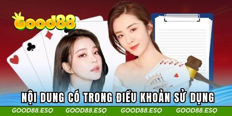 Những nội dung có trong điều khoản sử dụng của sân chơi